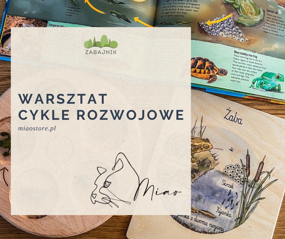 warsztat cykle rozwojowe